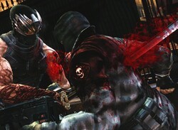 Ninja Gaiden 3 Unsheathes Full PlayStation Move Support